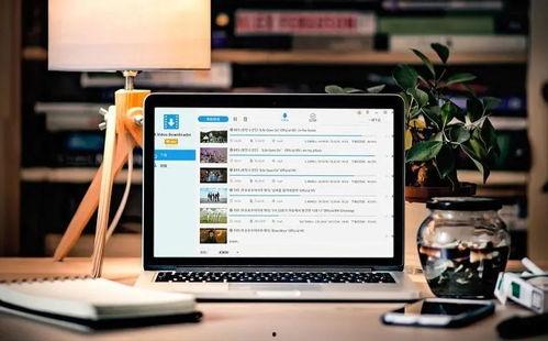 国产色爱视频软件电脑,电脑端使用攻略与风险警示