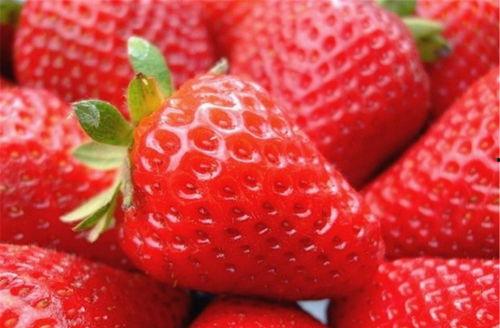 草莓视频国产精选高清版,视觉盛宴，尽享国产影视魅力