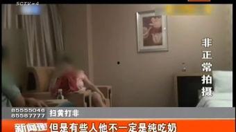 成人在线视频国产名人,从在线视频到璀璨星途